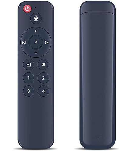 Amazon.com: ZWP Replacement Voice Remote Control fit for